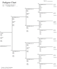 Genealogy Foxborough